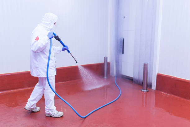 Best Soft Washing  in Yoncalla, OR